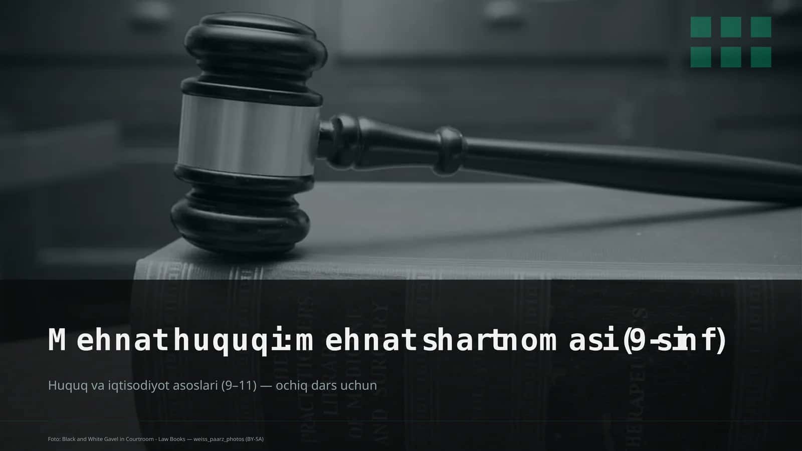 Mehnat huquqi: mehnat shartnomasi (9-sinf)