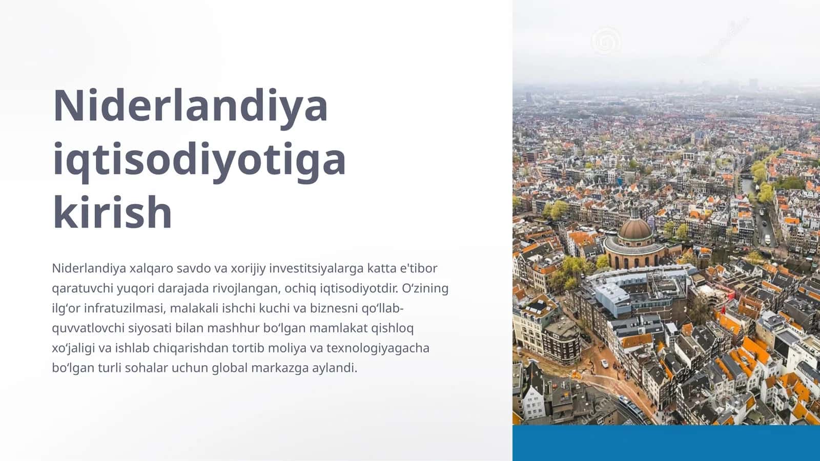 Niderlandiya iqtisodiyotiga kirish