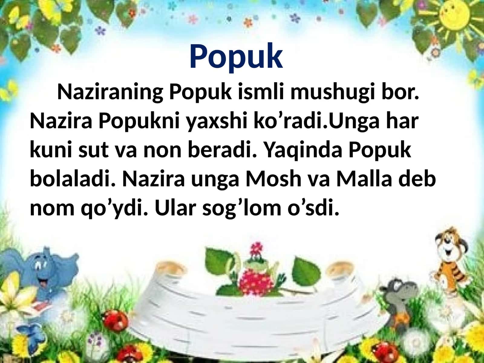 Popuk