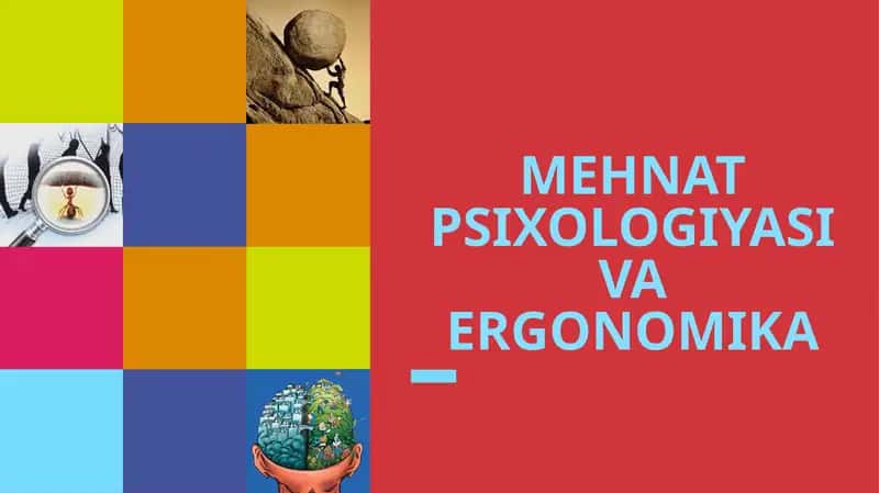 MEHNAT PSIXOLOGIYASI VA ERGONOMIKA
