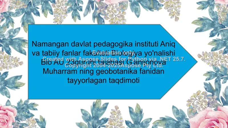 Fitotsenoz (Fitotsenotik qurilish tuzilishi)