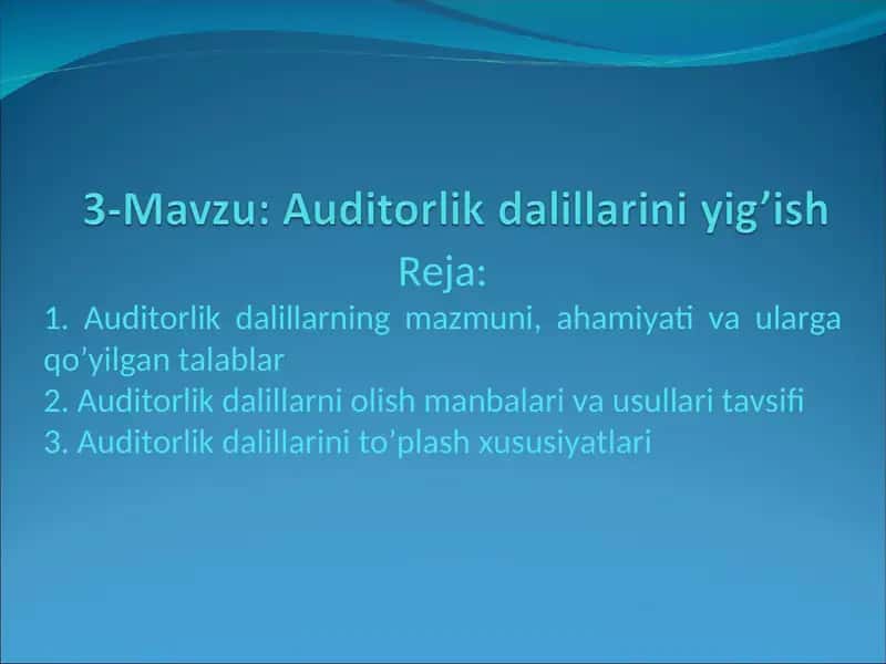 Auditorlik dalillarini yigʻish 2