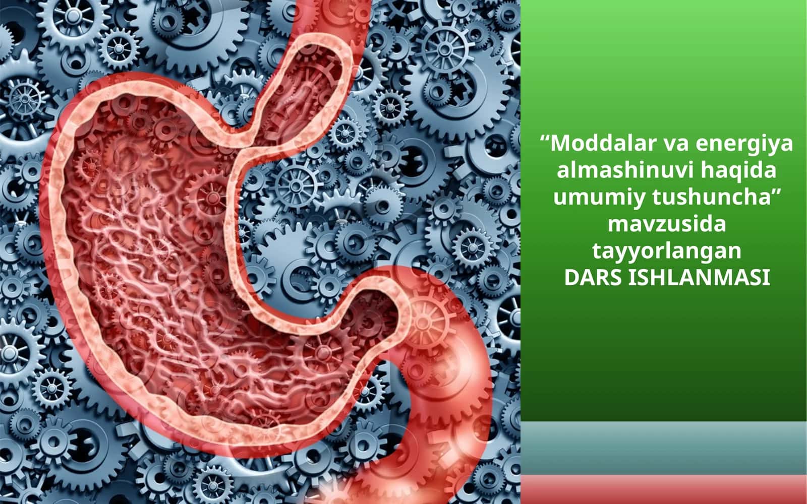 “Moddalar va energiya almashinuvi haqida umumiy tushuncha” mavzusida 8-sinf biologiya fanidan dars ishlanma.