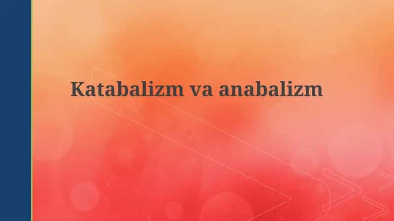 Katabolizm va Anabolizm