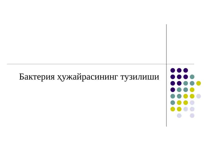 Бактерия ҳужайрасининг тузилиши
