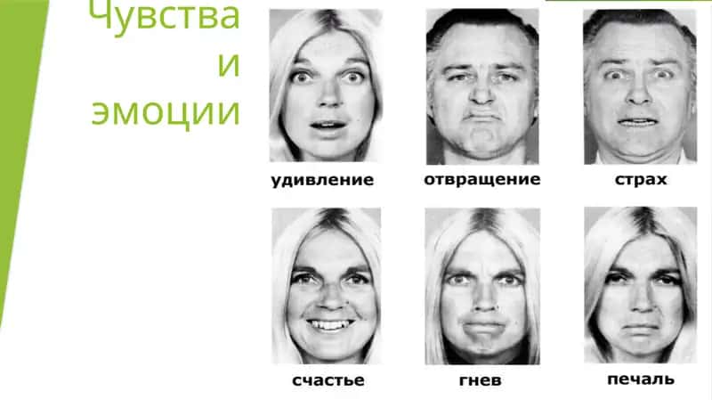 чувства и эмоции