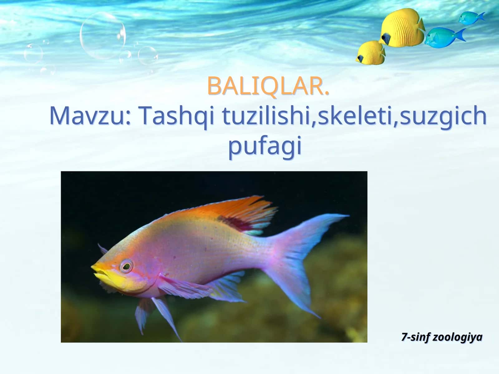 BALIQLAR