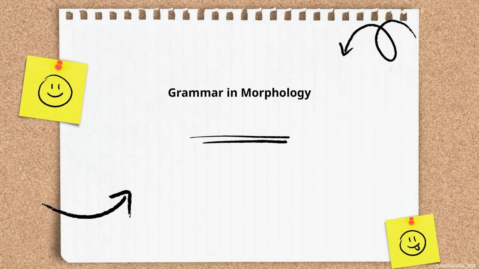 Grammar in Morphology