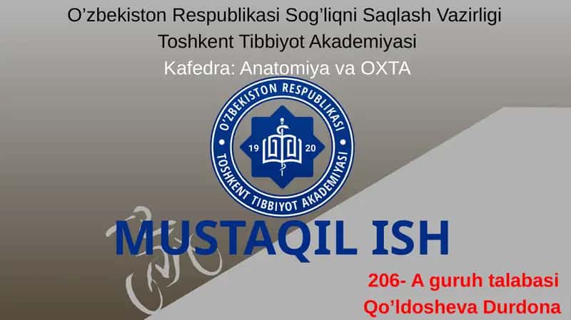 Yelka chigalining hosil bo'lishi va uning qisqa shoxlari.