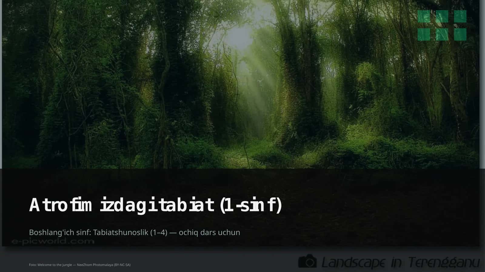 Atrofimizdagi tabiat (1-sinf)