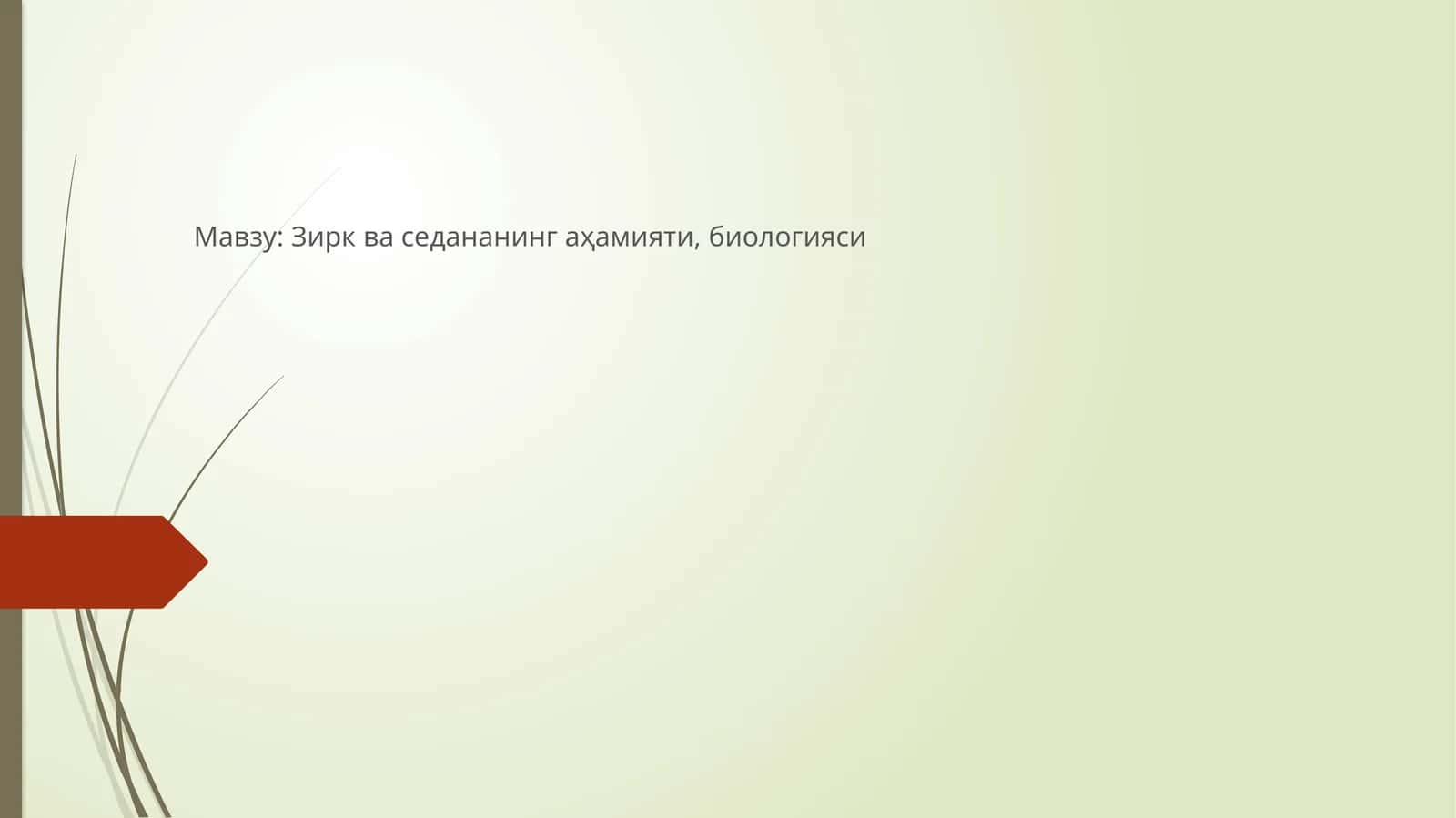 Зирк ва седананинг аҳамияти, биологияси