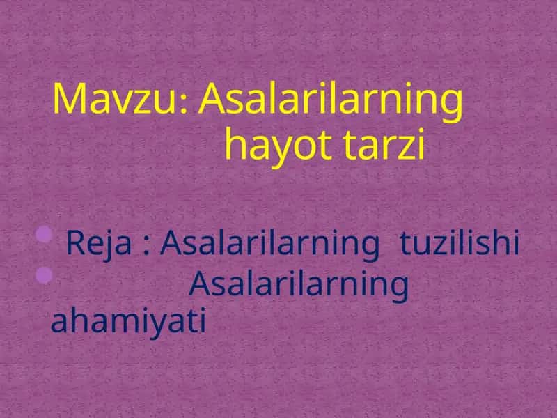 Asalarilarning tuzilishi