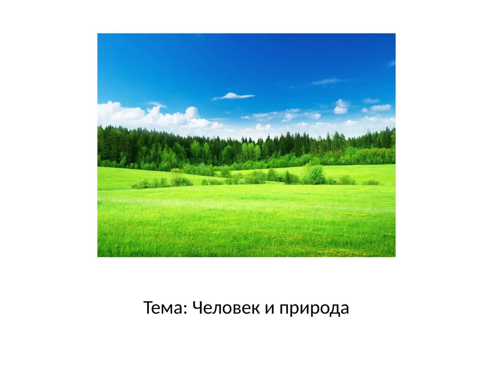 Человек и природа