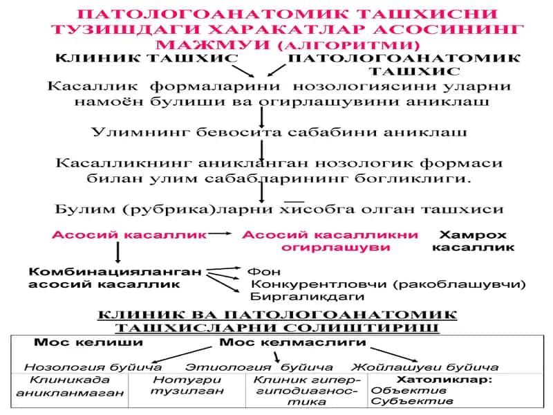 Касалликларидағи ташхис конструкцияси