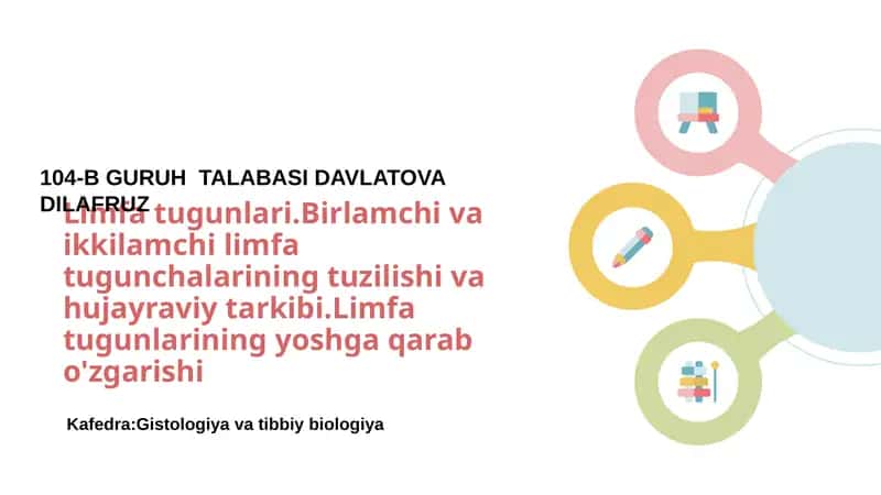 Limfa tugunlari.Birlamchi va ikkilamchi limfa tugunchalarining tuzilishi va hujayraviy tarkibi