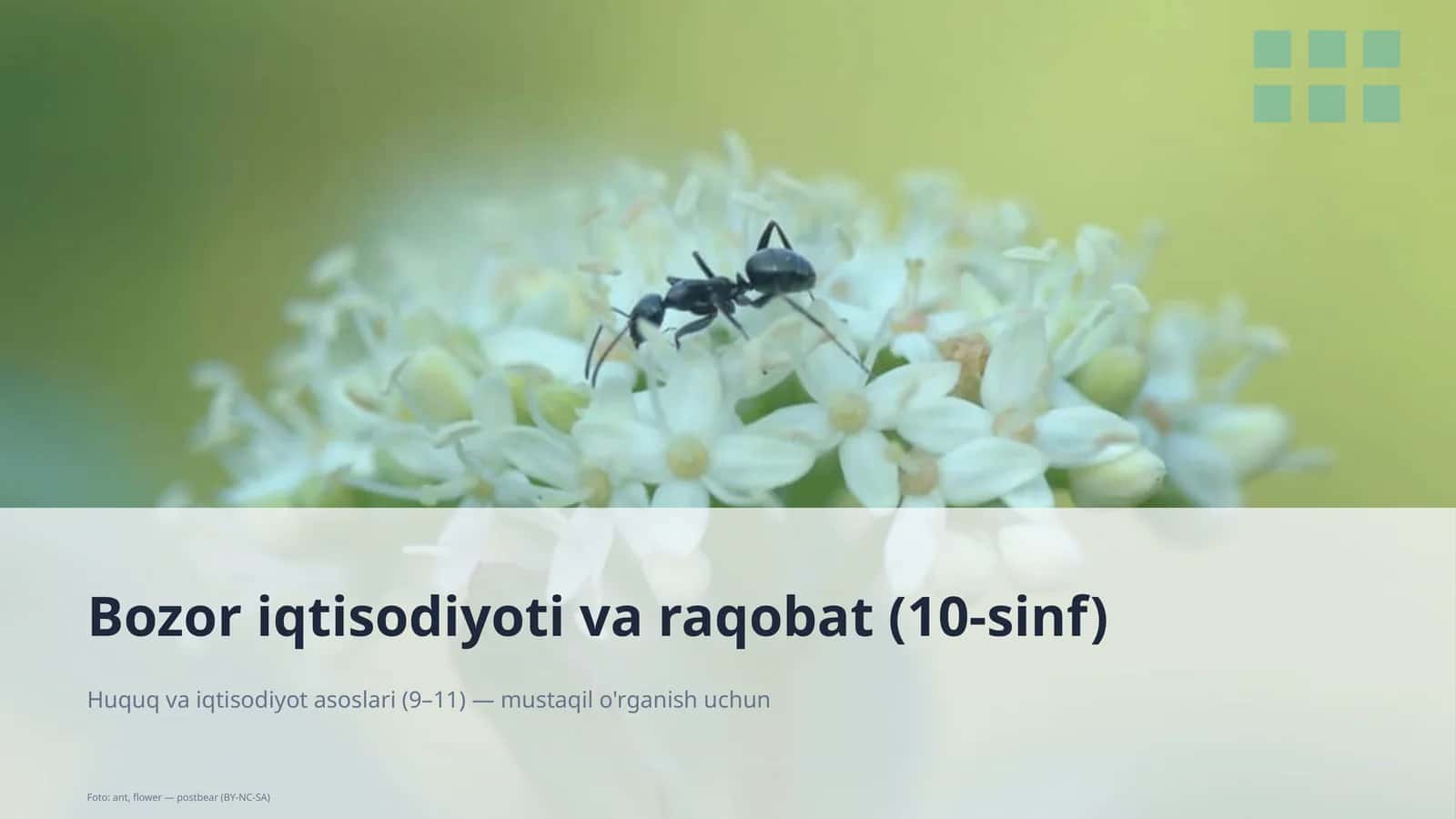 Bozor iqtisodiyoti va raqobat (10-sinf)