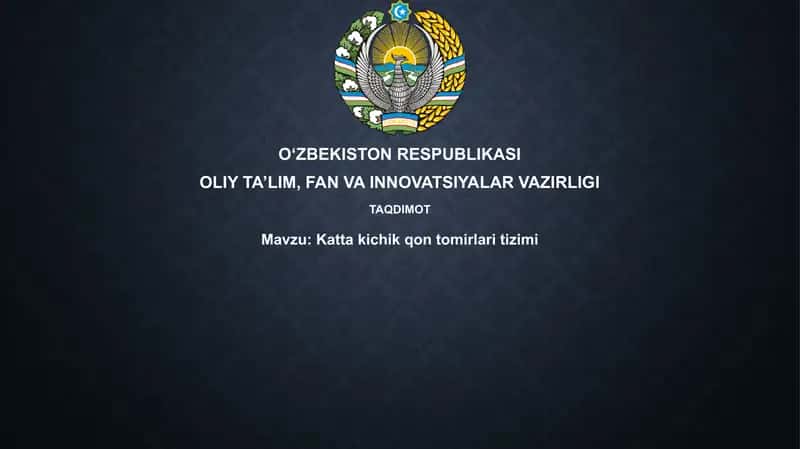 Kattakichik qontomirlar itizimi