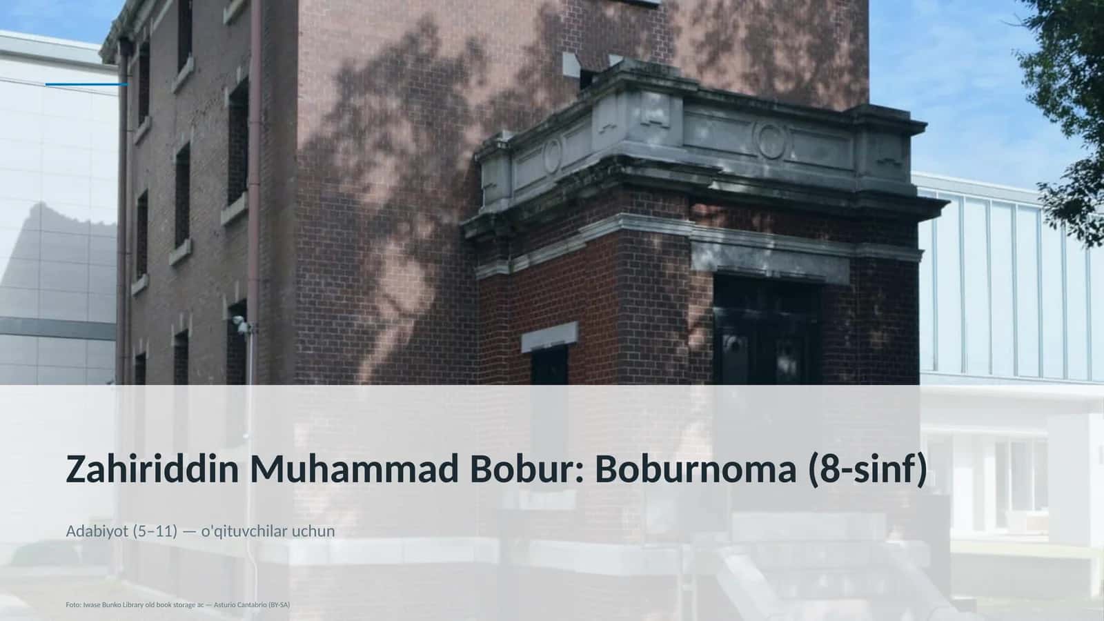 Boburnoma (8-sinf)