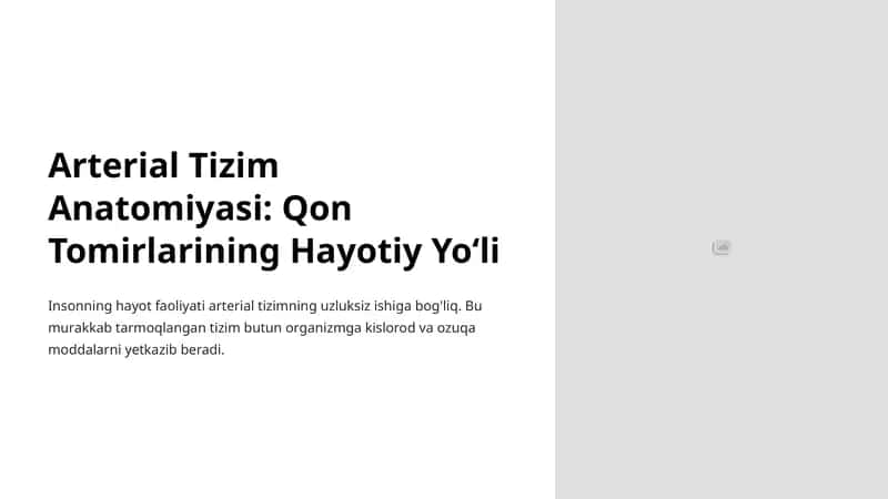 Arterial Tizim Anatomiyasi: Qon Tomirlarining Hayotiy Yoʻli