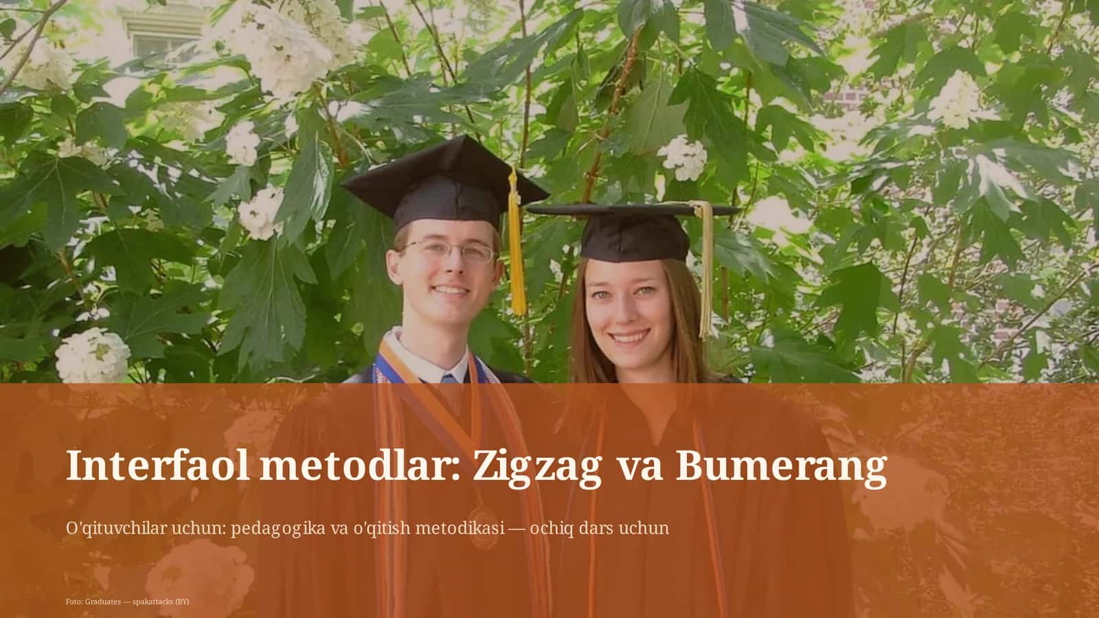 Interfaol metodlar: Zigzag va Bumerang
