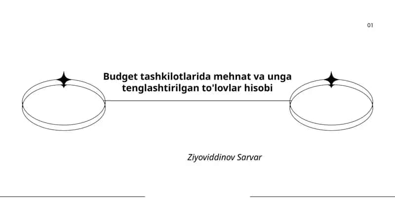 Byudjet tashkilotlarida ish haqi hisob-kitobi va to'lovlar tartibi