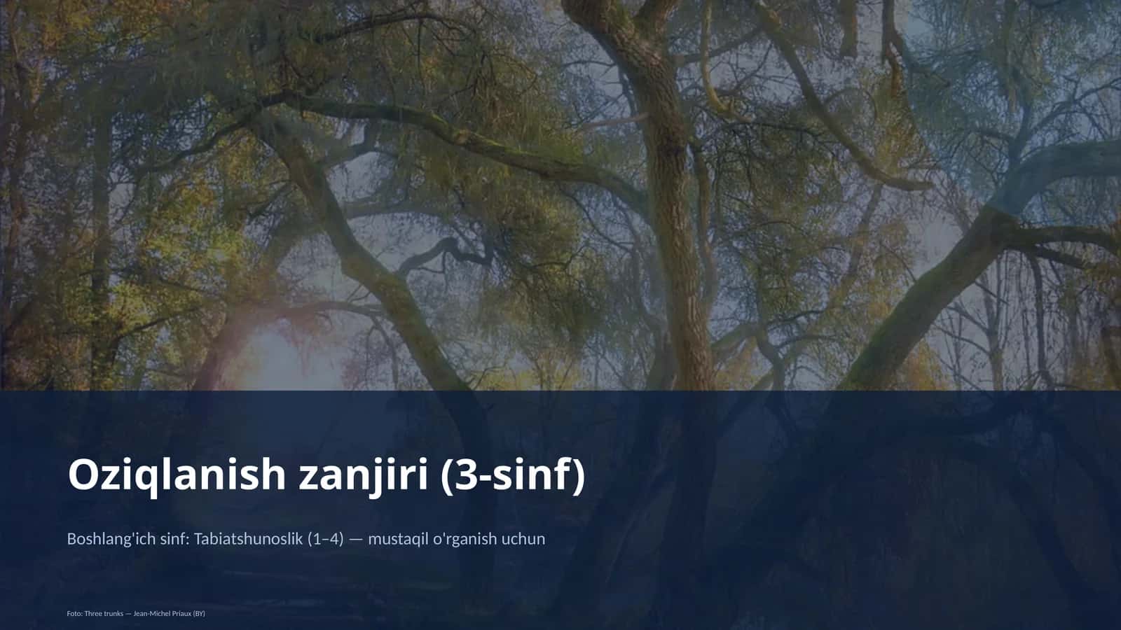 Oziqlanish zanjiri (3-sinf)