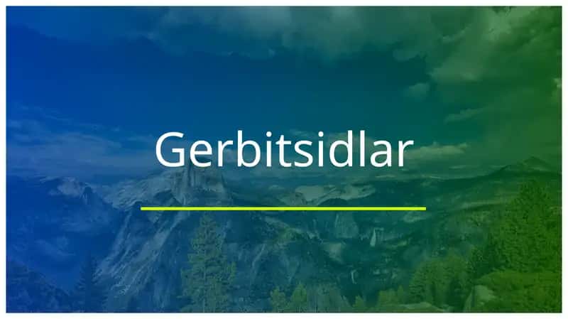 Gerbitsidlar