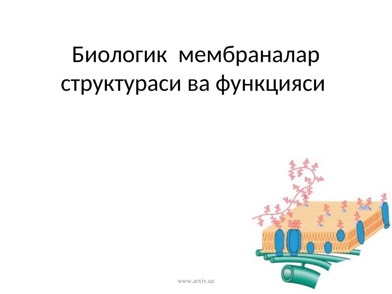 Биологик мембраналарструктураси ва функцияси