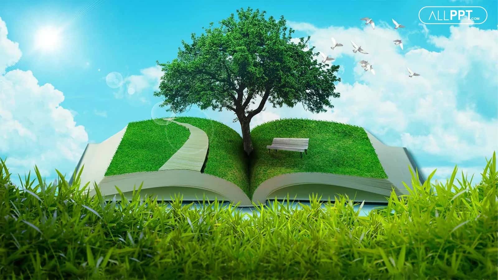 Ijtimoiy pedagogika fan va amaliy faoliyat sohasi sifatida. Ijtimoiyllashuv-ijtimoiy-pedagogik jarayon