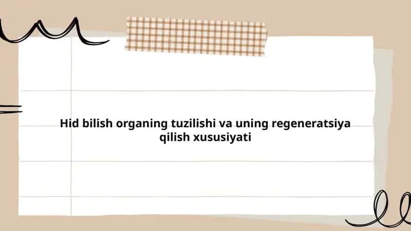Hid bilish a'zolari tuzilishi