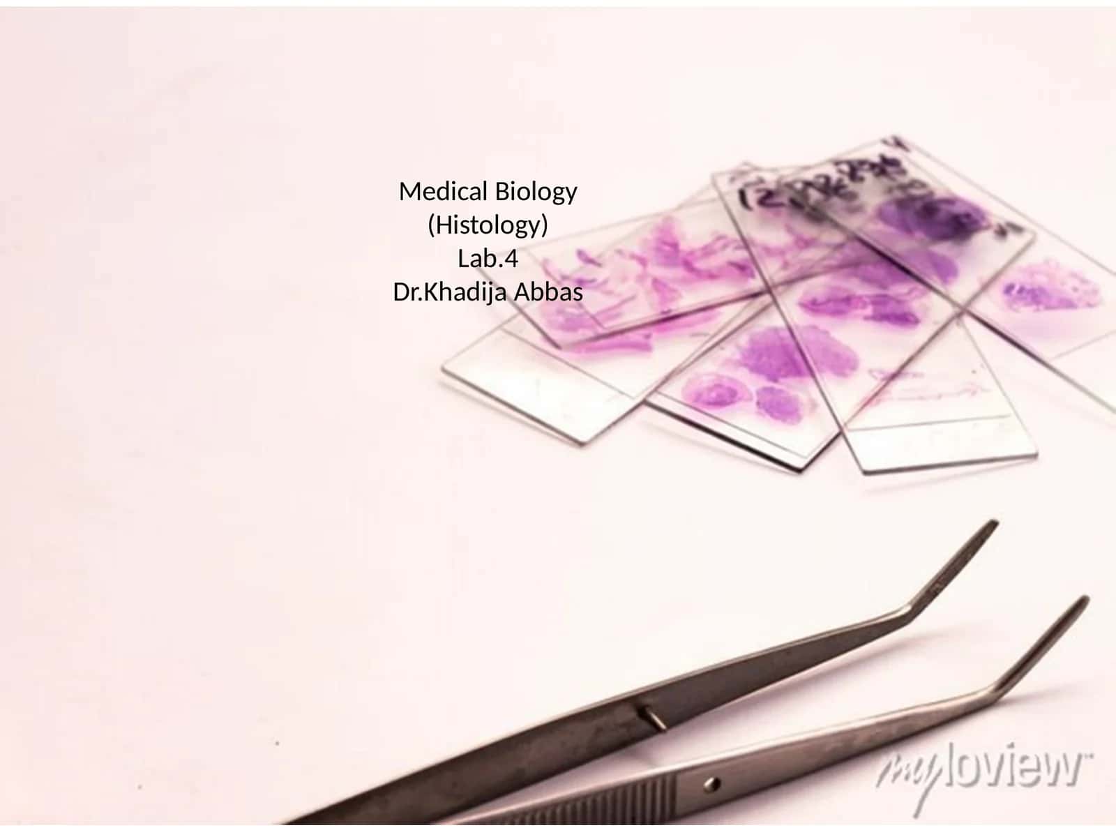 An Introduction to FFPE Tissue Preparation