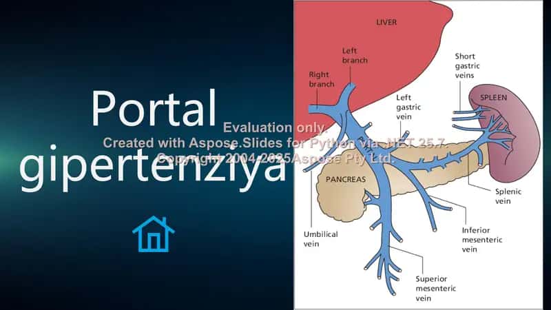 Portal gipertenziya