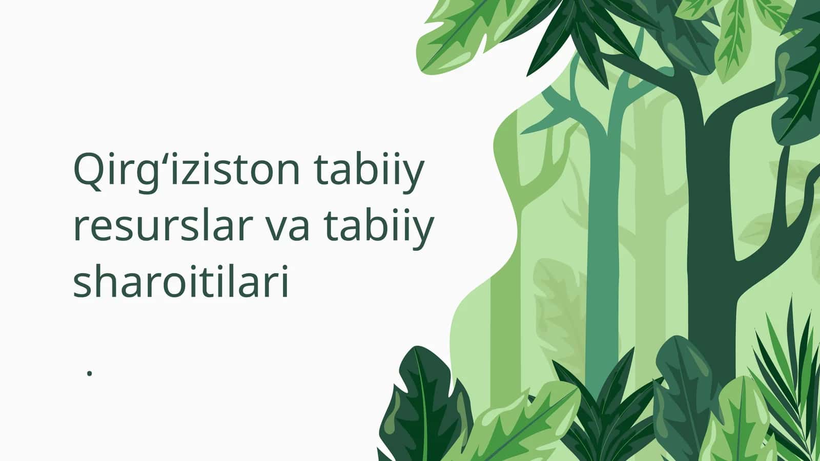 Qirgʻiziston tabiiy resurslar va tabiiy sharoitilari