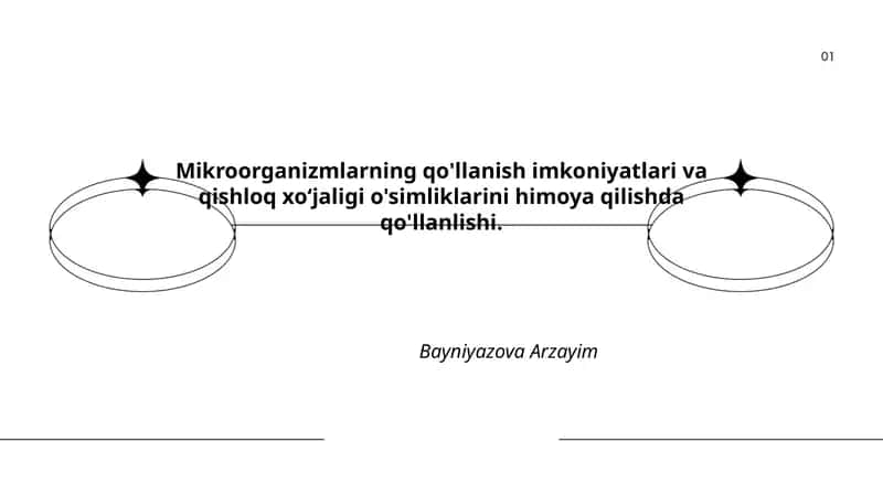 Mikroorganizmlarning qo'llanish imkoniyatlari va qishloq xoʻjaligi o'simliklarini himoya qilishda qo'llanlishi