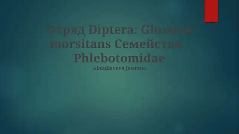 Glossina morsitans