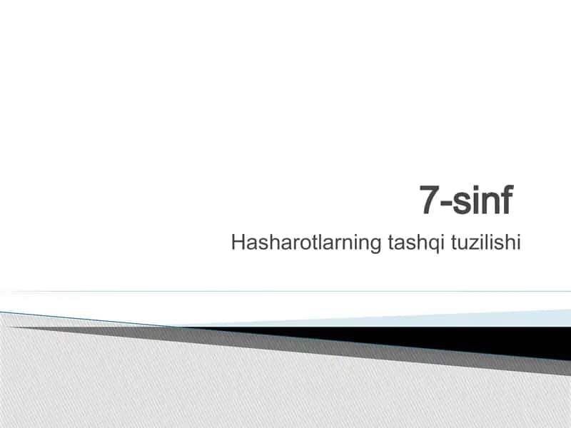 Hasharotlarning tashqi tuzilishi