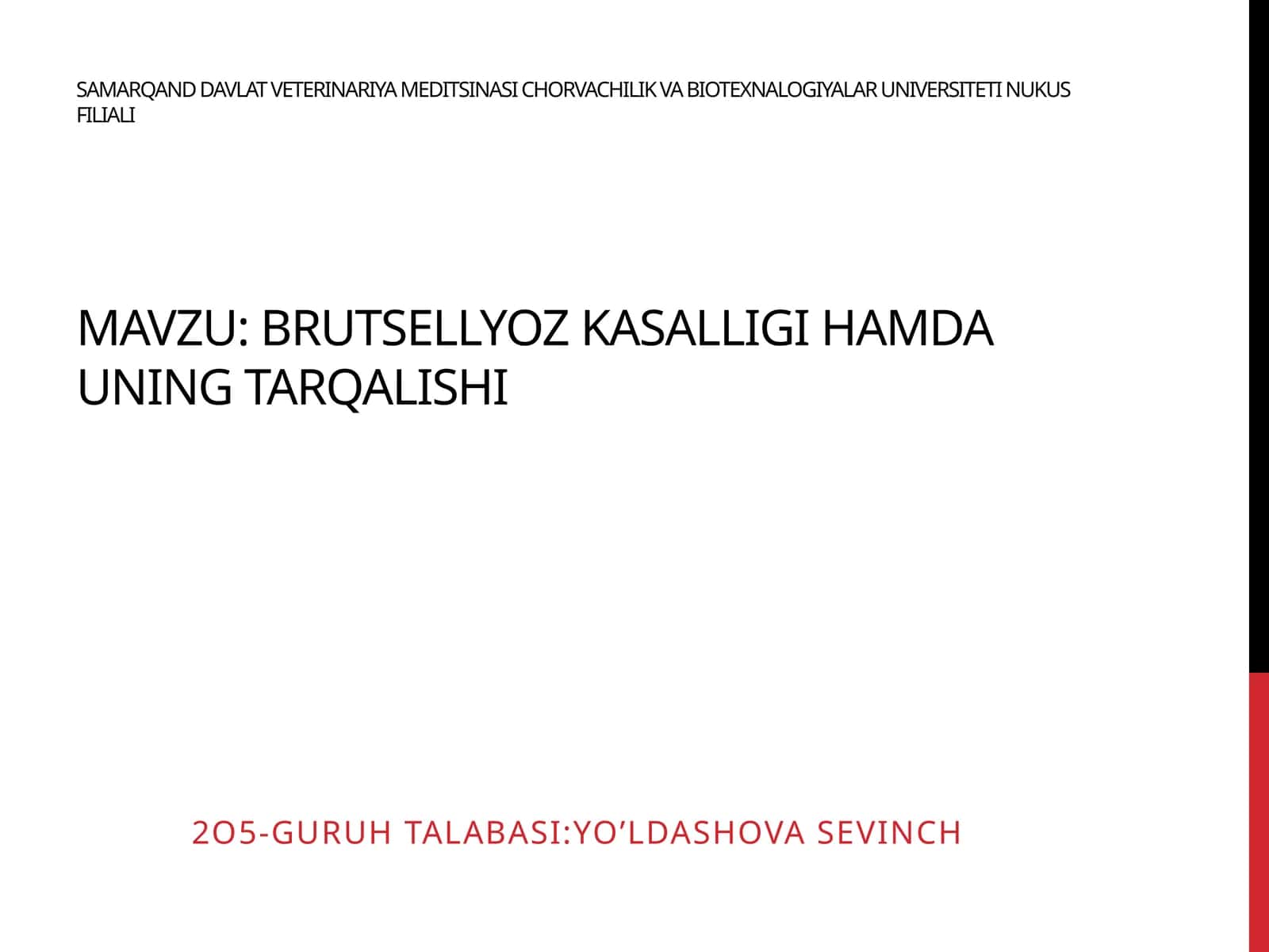 Brutsellyoz