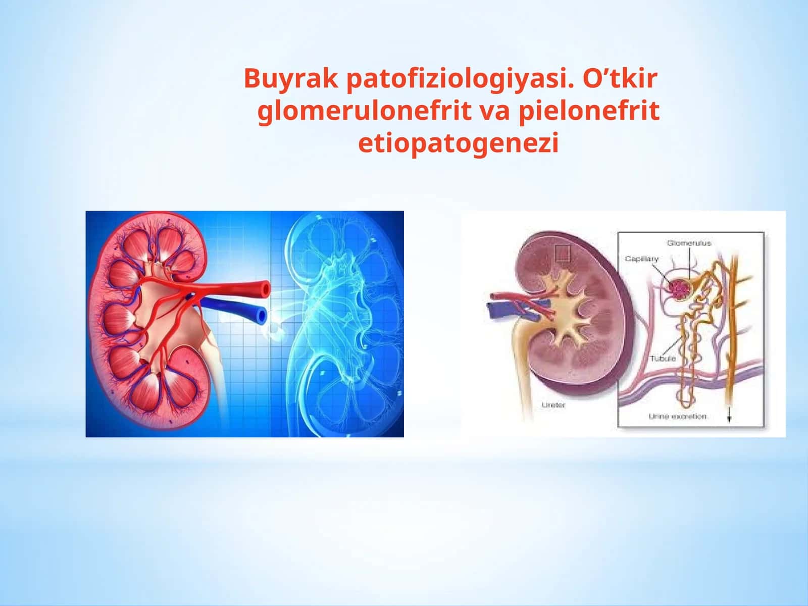 Buyrak patofiziologiyasi. O’tkir glomerulonefrit va pielonefrit etiopatogenezi