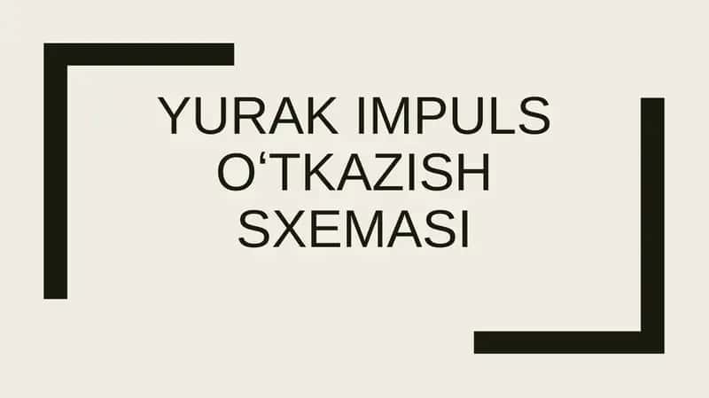 Yurak impuls o'tkazish sxemasi
