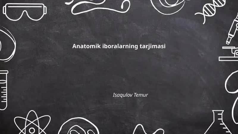 Anatomik iboralarning tarjimasi