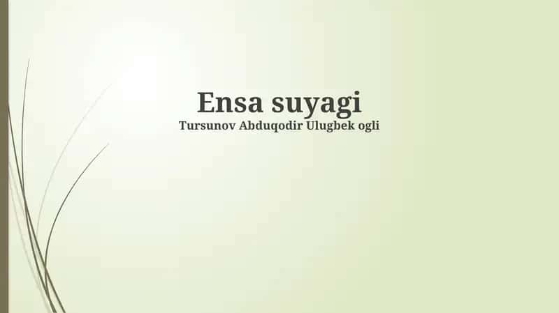 Ensa suyagi