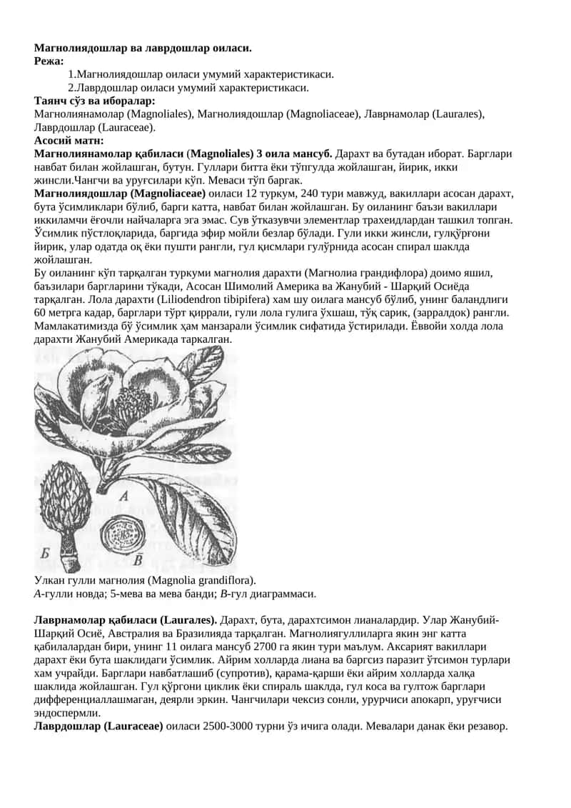 Магнолиядошлар ва лаврдошлар оиласи