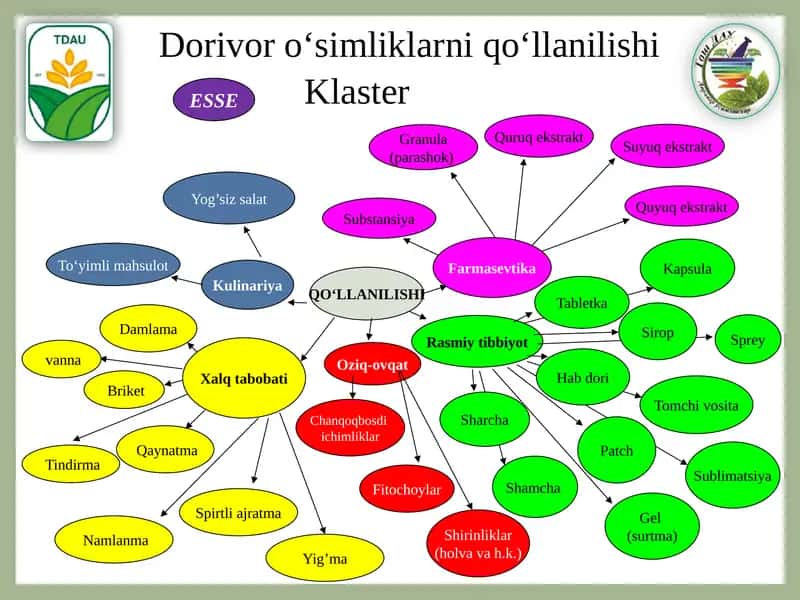 Qaynatma