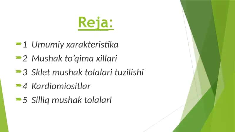 СКЕЛЕТ МУШАК ТЎҚИМАСИНИНГ ТУЗИЛИШИ