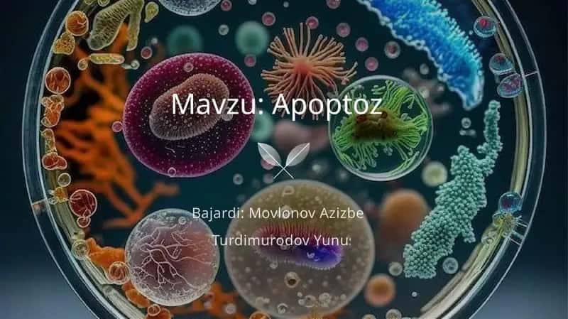 Apoptoz
