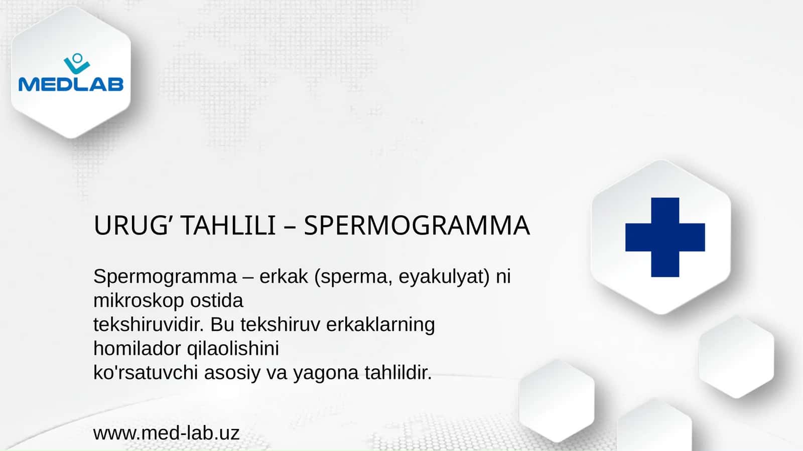 SPERMOGRAMMA