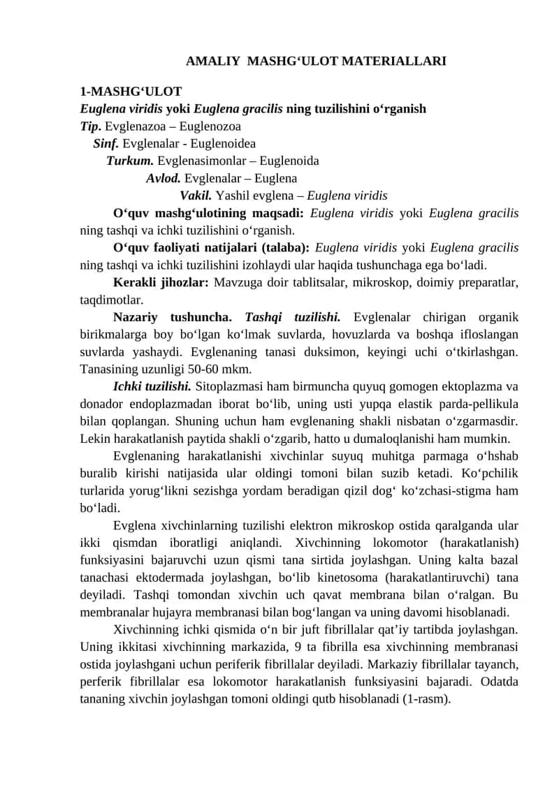 Euglena viridis yoki Euglena gracilis