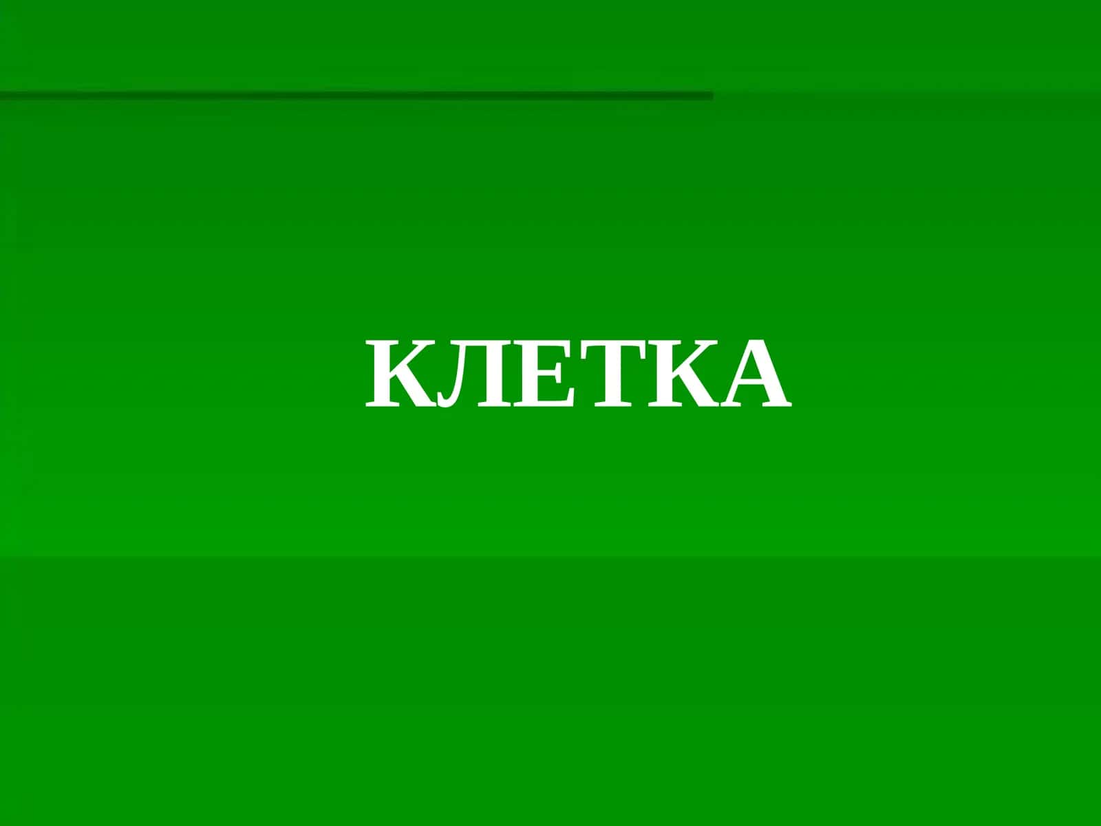 КЛЕТКА