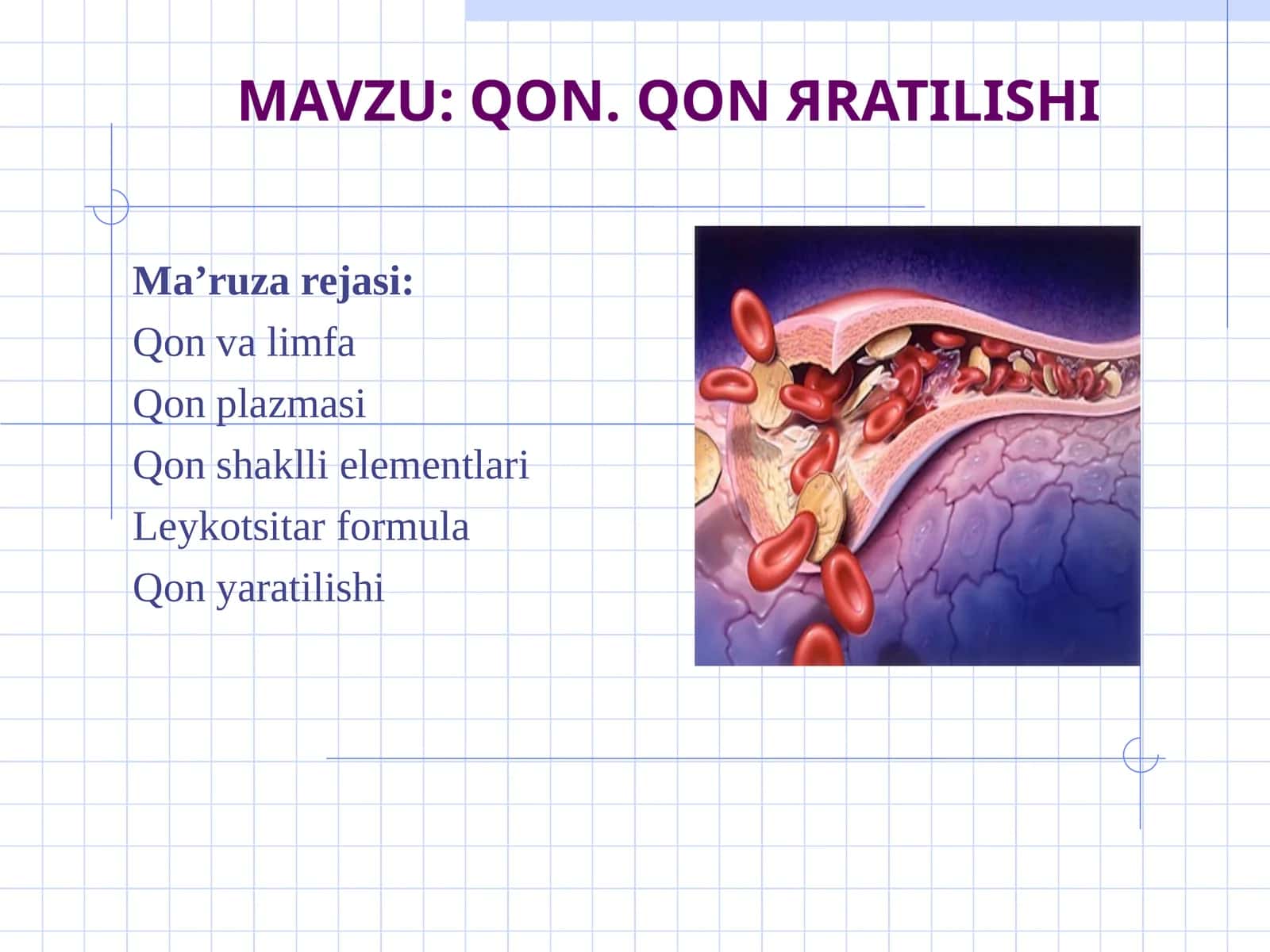 Qon va limfa, QON TARKIBI