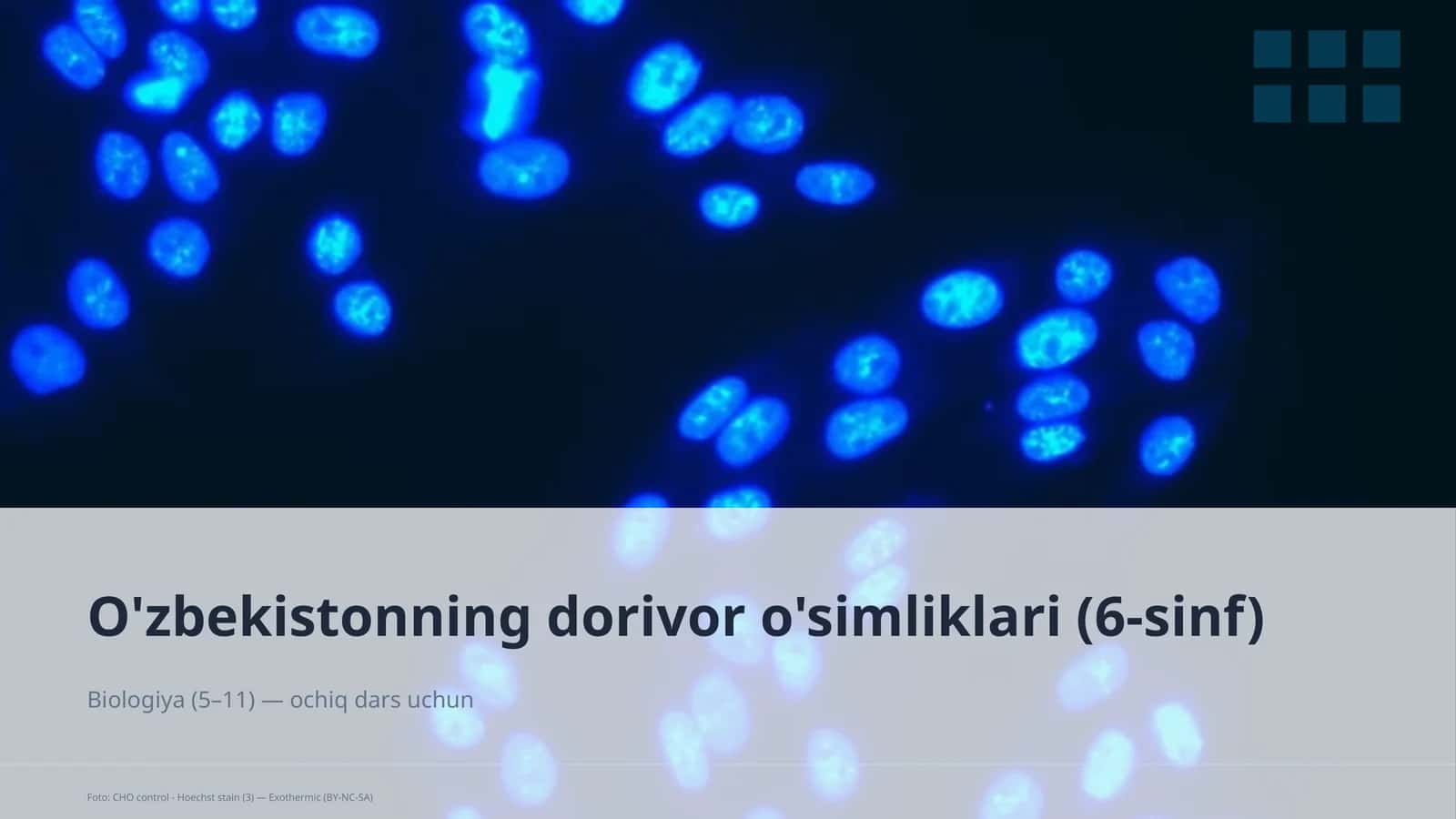 O'zbekistonning dorivor o'simliklari (6-sinf)